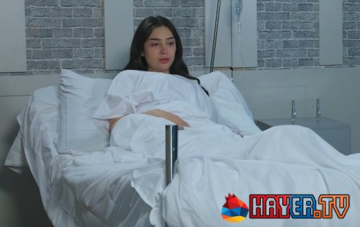 Shirazi Varde - Episode 99 [հայկական սերիալ/հայերեն]