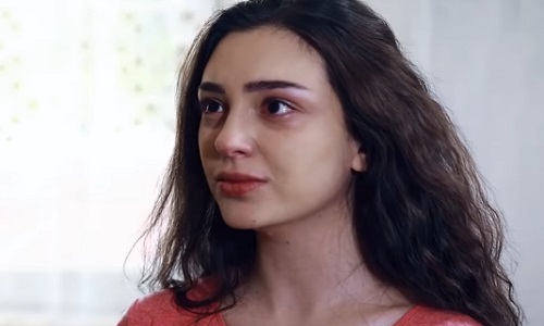 Օջախի Երգը - Episode 114 [հայկական սերիալ/հայերեն]