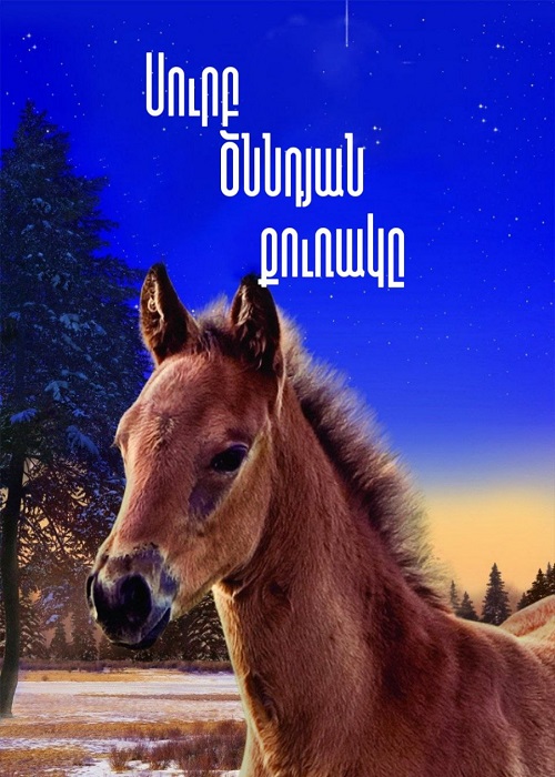 Սուրբ Ծննդյան քուռակը [2013/ֆիլմ/հայերեն]