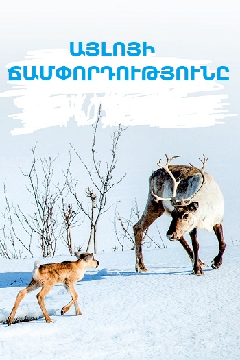 Այլոյի ճամփորդությունը [2018/ֆիլմ/հայերեն]