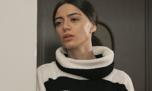 Erdum - Episode 85 [հայկական սերիալ/հայերեն]