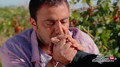 Hethashvark - Episode 16 [հայկական սերիալ/հայերեն]
